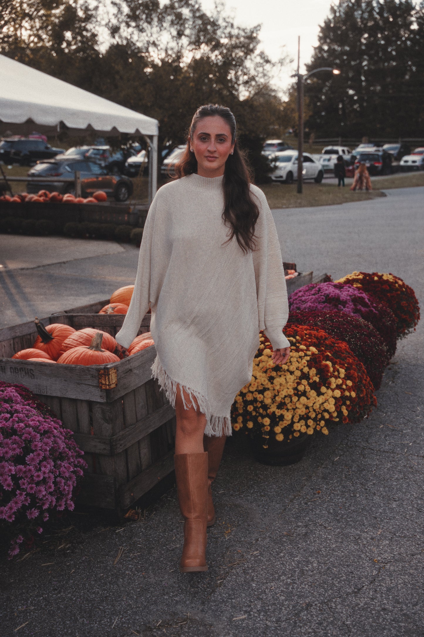 Joyful Fringe Knit Dress