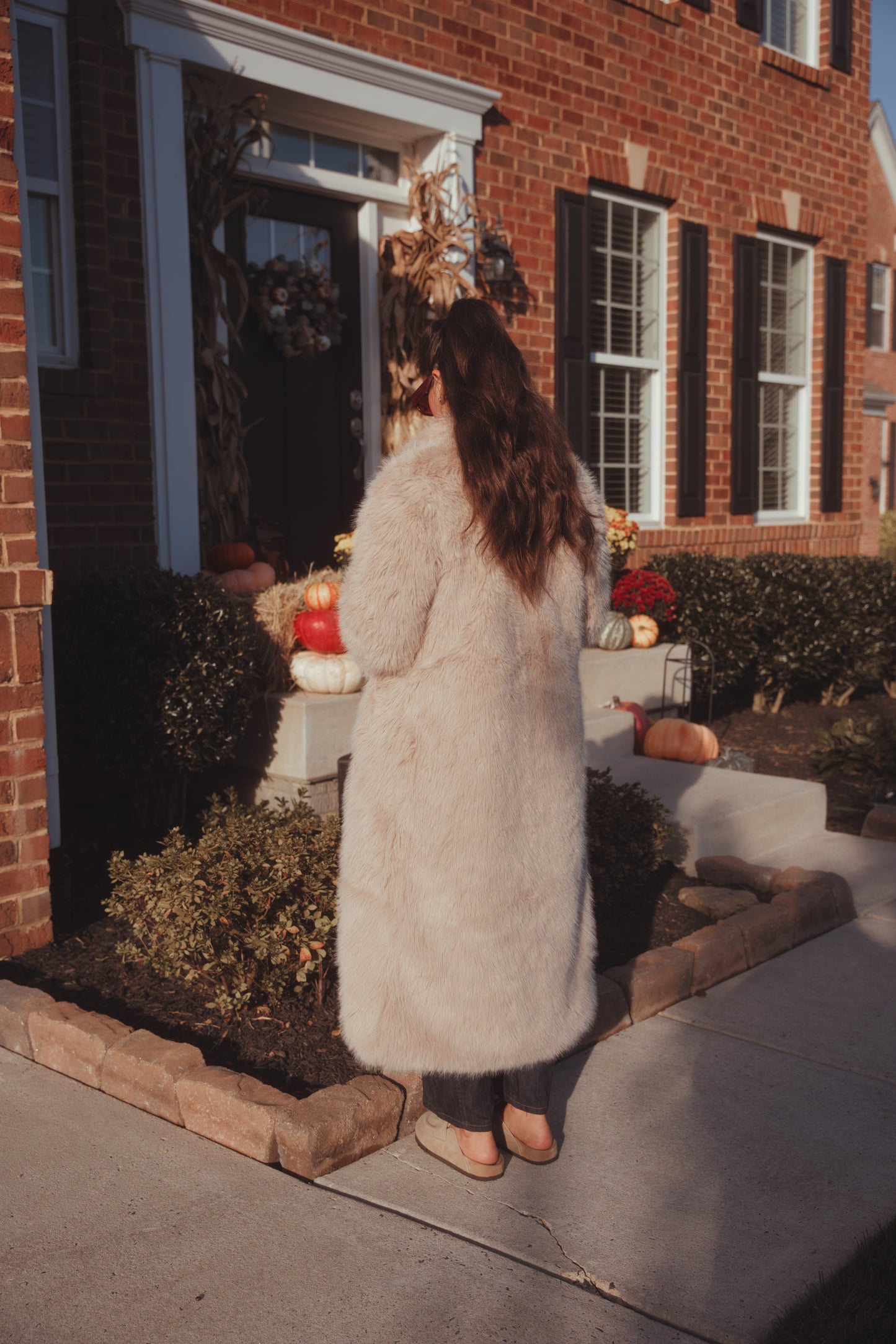 Aspen Faux Fur Coat- Taupe