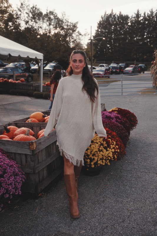 Joyful Fringe Knit Dress